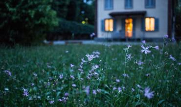 A house with flowers out front