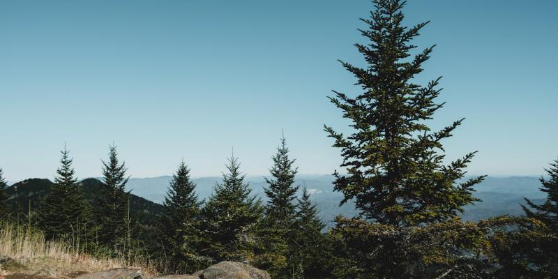 Photo of the mountains of Asheville, NC